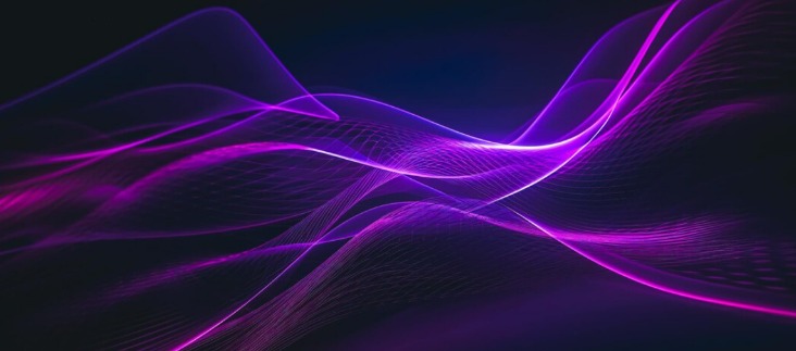 how to surf the dark web