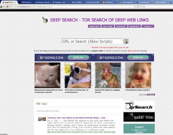 darknet market links