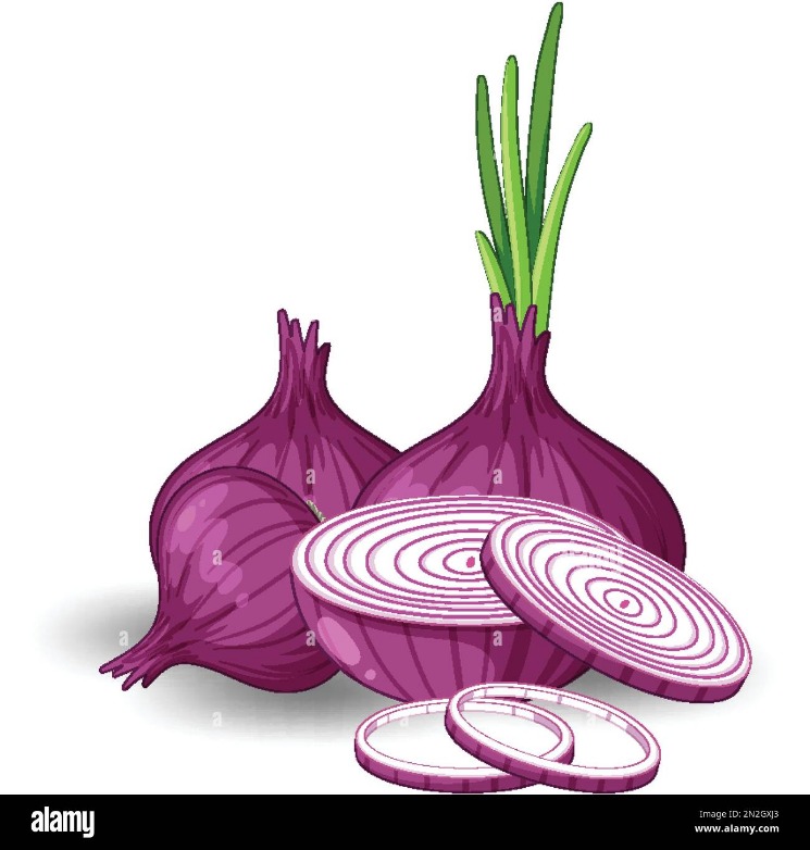 onion domain and kingdom