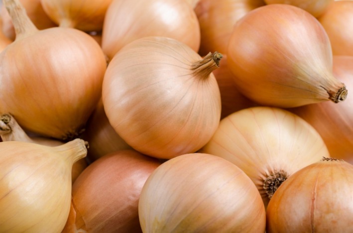 onion links 2023