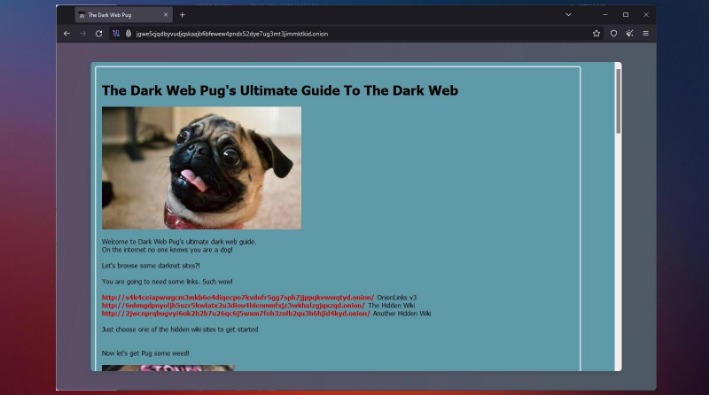 access to dark web