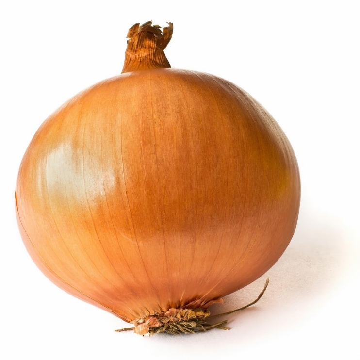 onion seiten 2023
