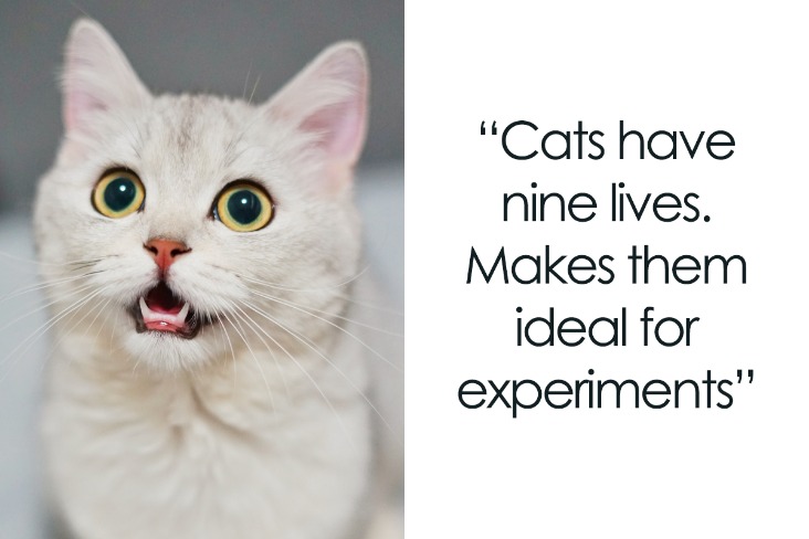 dark web illegal links