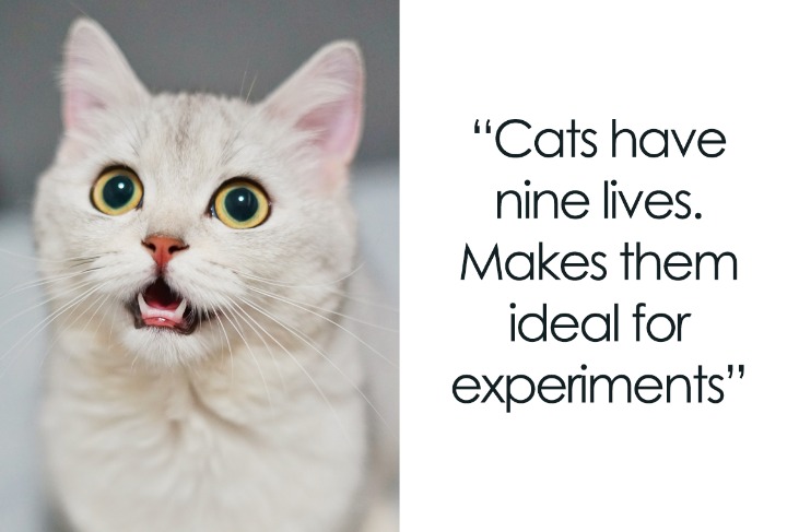 dark web counterfeit money