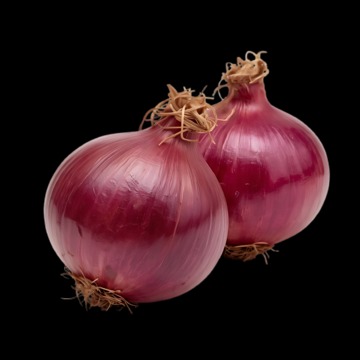 fresh onions link
