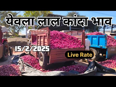 live onion market