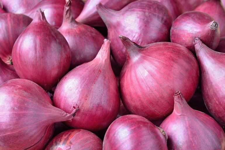 onion links 2023