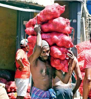 market onion